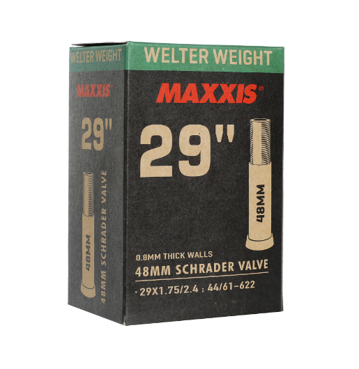 29